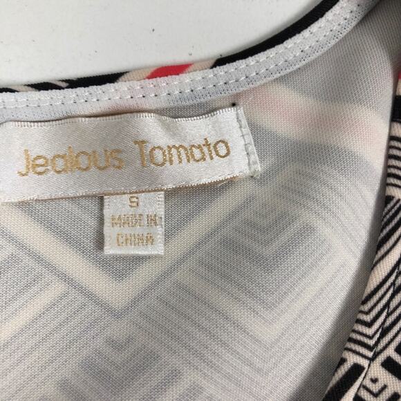 Abstract print dress  by Crazy Tomato size small - Picture 7 of 8